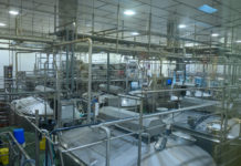 Plant and production of dairy products. Cheeses, milk